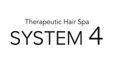 System4 logo
